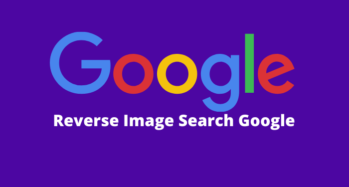 Google Reverse Image Search  